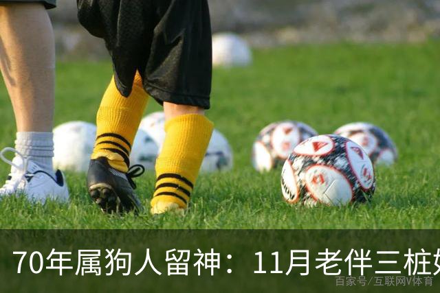 70年属狗人留神：11月老伴三桩好事齐上门，稳住别声张